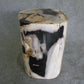 Petrified Wood Log Stool 16in(h) x 13in x 12in - 1534.22 | Petrified Wood Stools | Modishstore