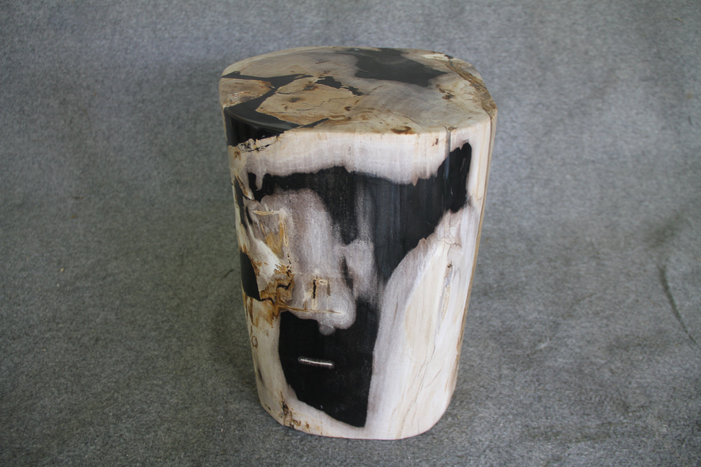 Petrified Wood Log Stool 16in(h) x 13in x 12in - 1534.22 | Petrified Wood Stools | Modishstore