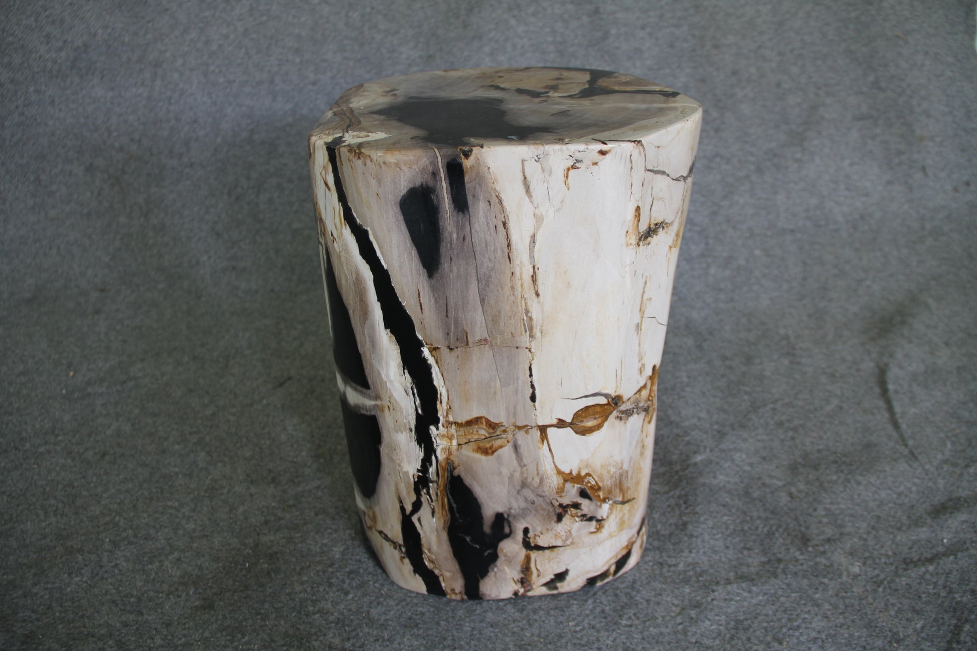 Petrified Wood Log Stool 16in(h) x 13in x 12in - 1534.22 | Petrified Wood Stools | Modishstore-3