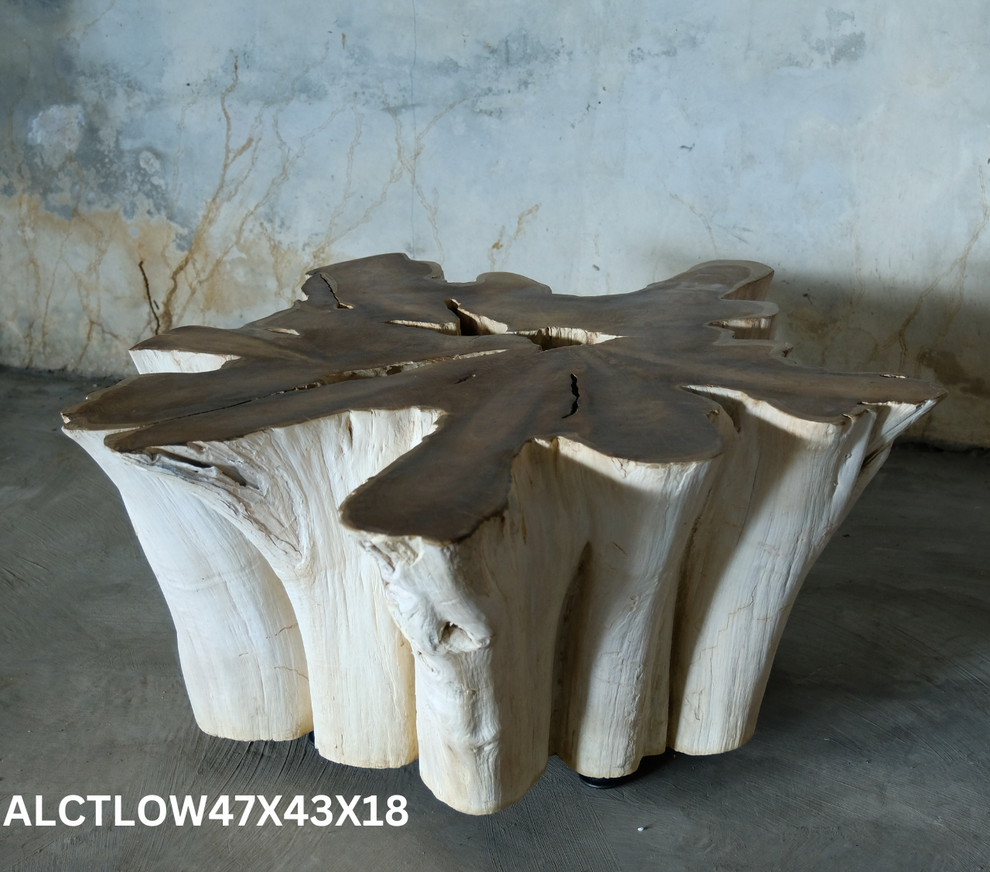 Antique Teak Thick Slab Coffee Table- 2 Variants- by Artisan Living | Coffee Tables | Modishstore-8