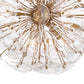 Poppy Glass Chandelier Small Clear By Regina Andrew | Chandeliers | Modishstore - 6
