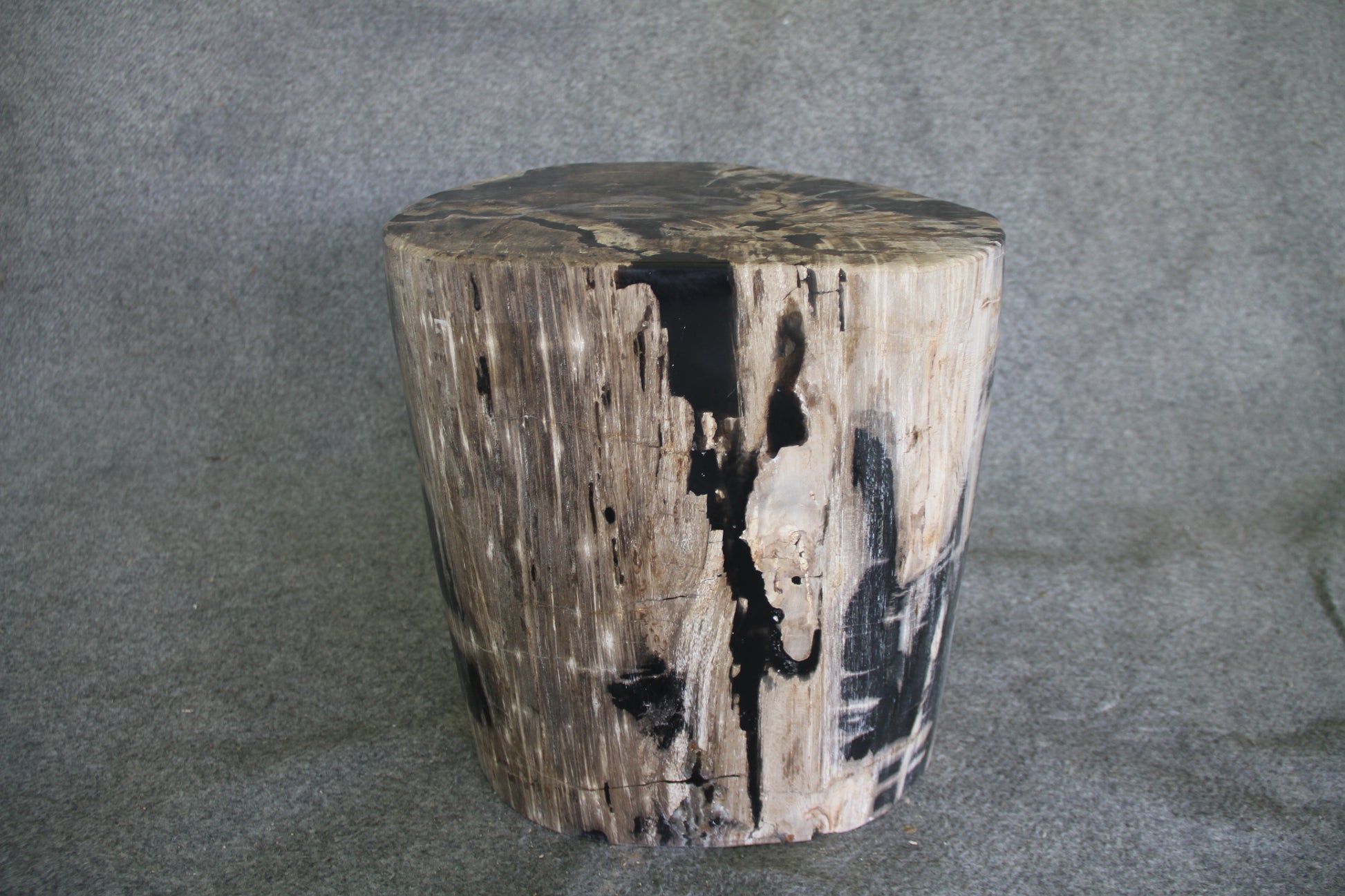 Petrified Wood Log Stool 15in x 13in x 16in (h) - 1631.22 | Petrified Wood Stools | Modishstore-5