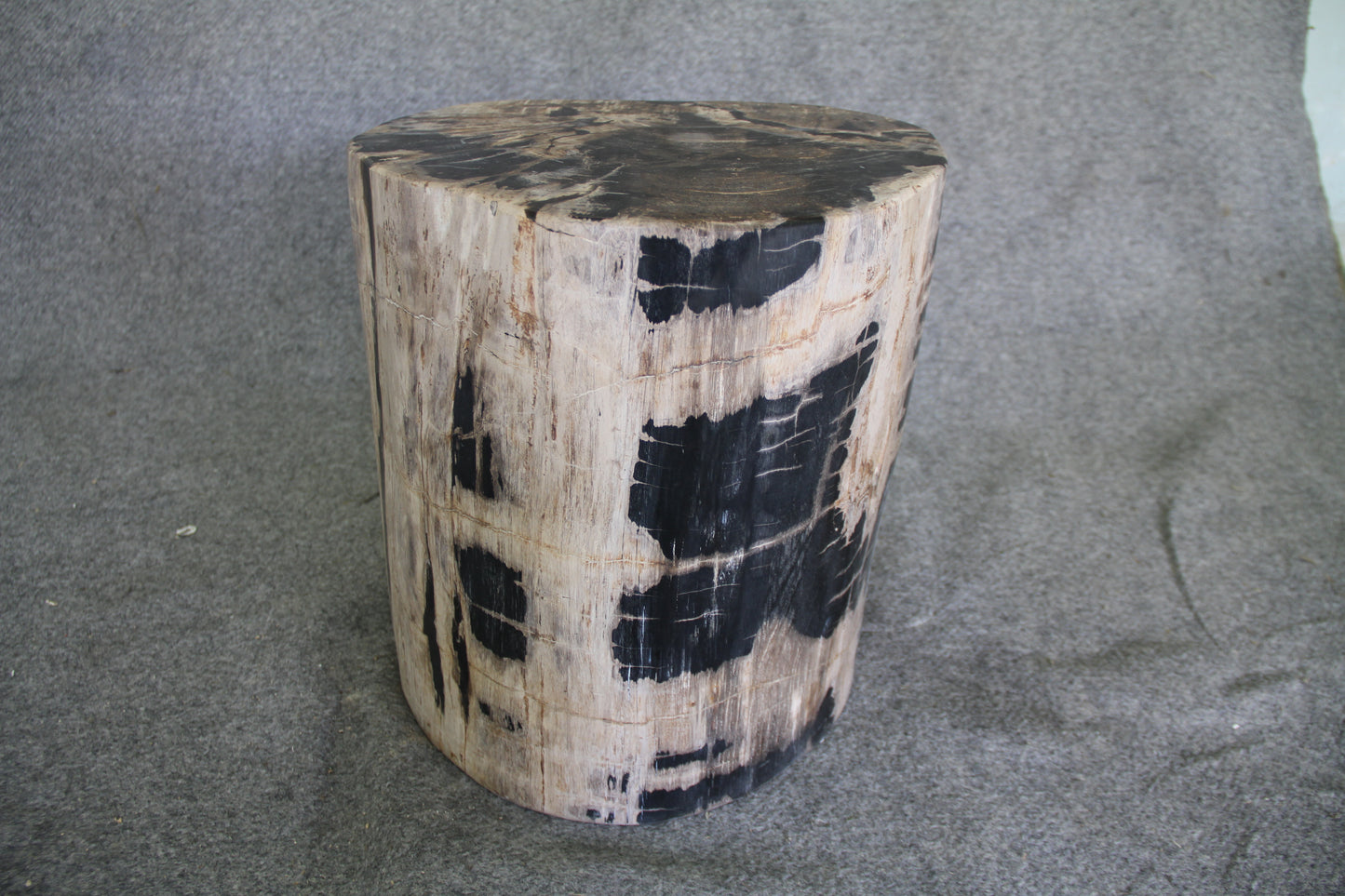 Petrified Wood Log Stool 15in x 13in x 16in (h) - 1631.22 | Petrified Wood Stools | Modishstore-4