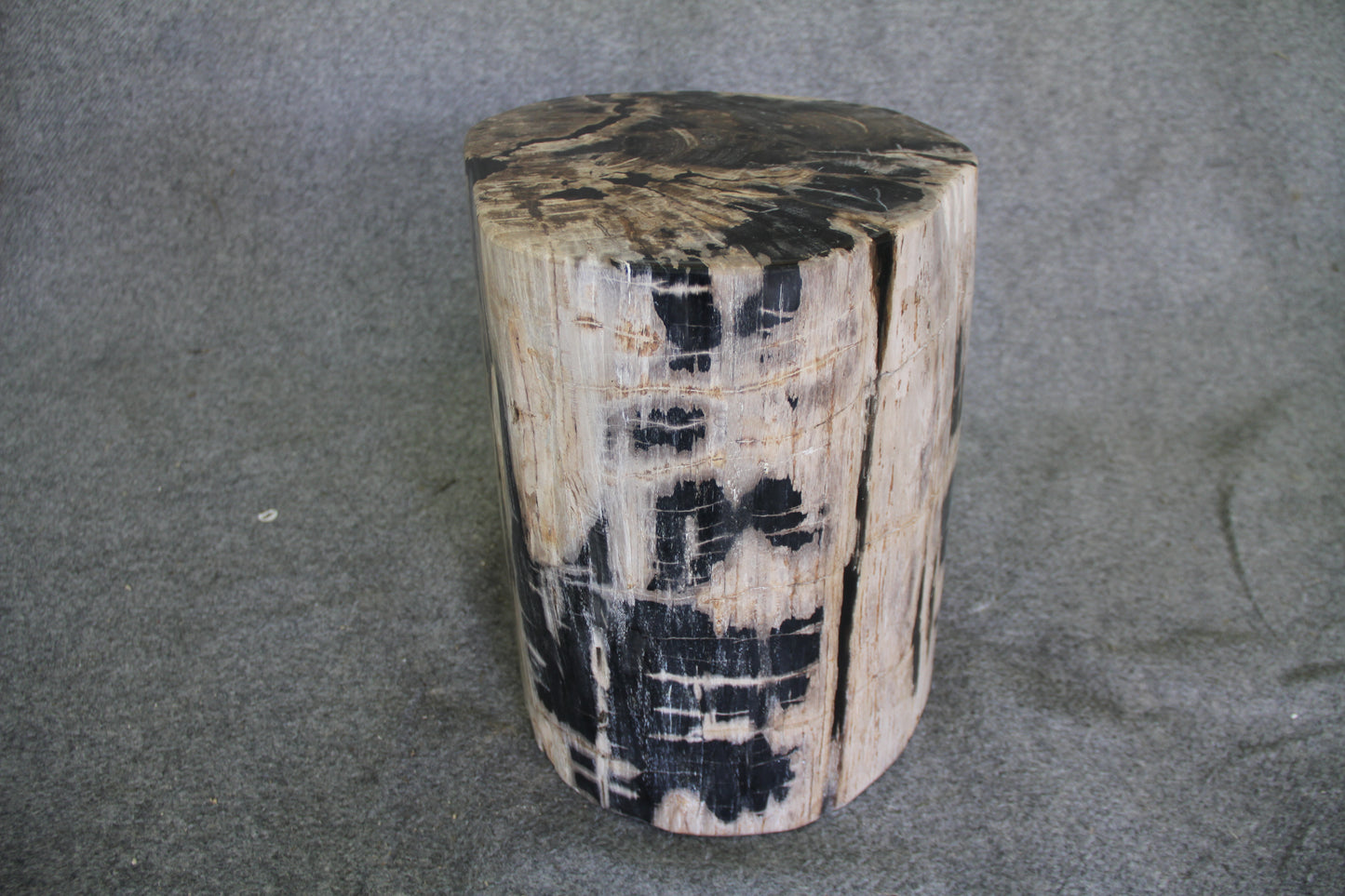 Petrified Wood Log Stool 15in x 13in x 16in (h) - 1631.22 | Petrified Wood Stools | Modishstore-3