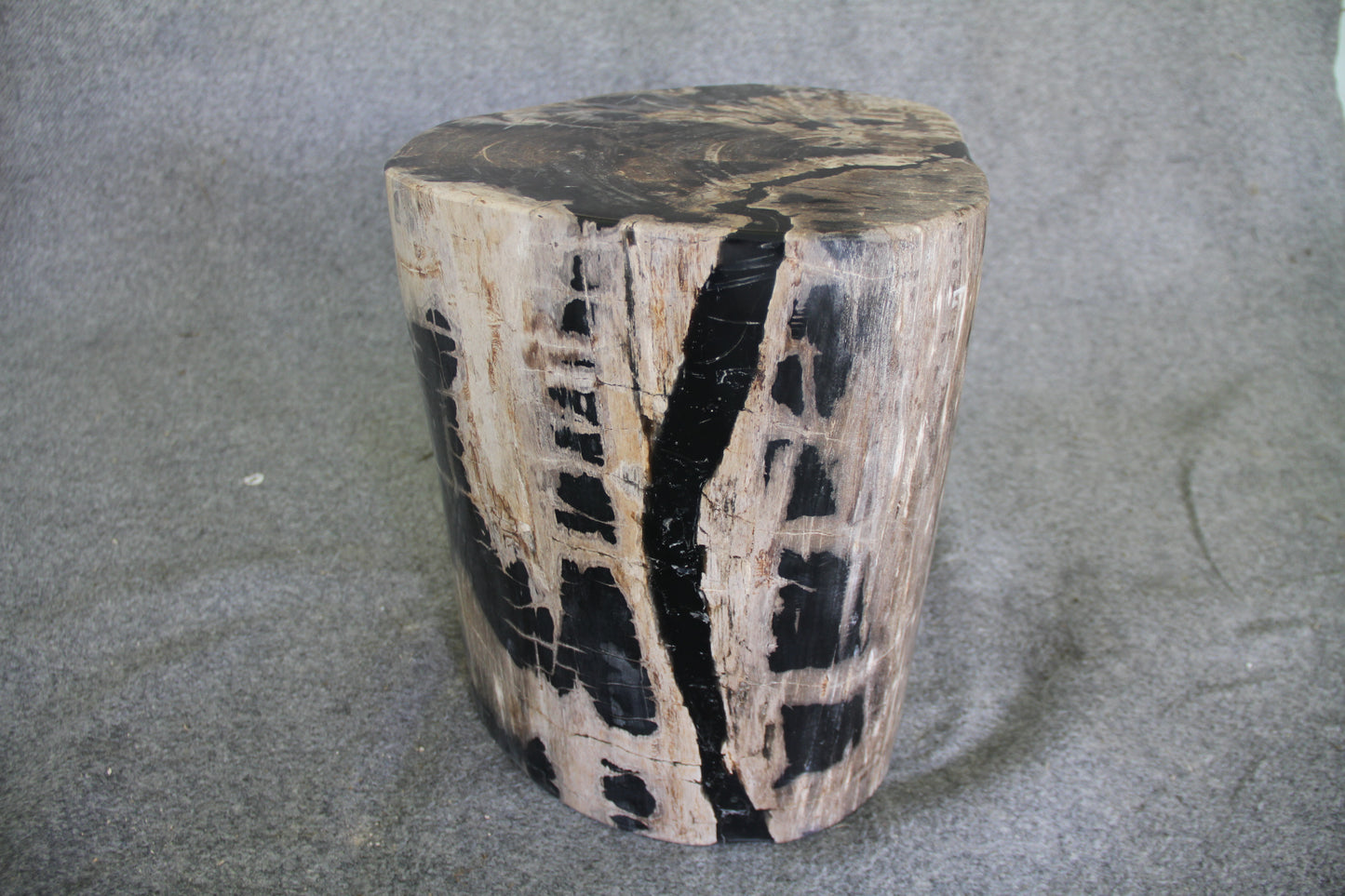 Petrified Wood Log Stool 15in x 13in x 16in (h) - 1631.22 | Petrified Wood Stools | Modishstore