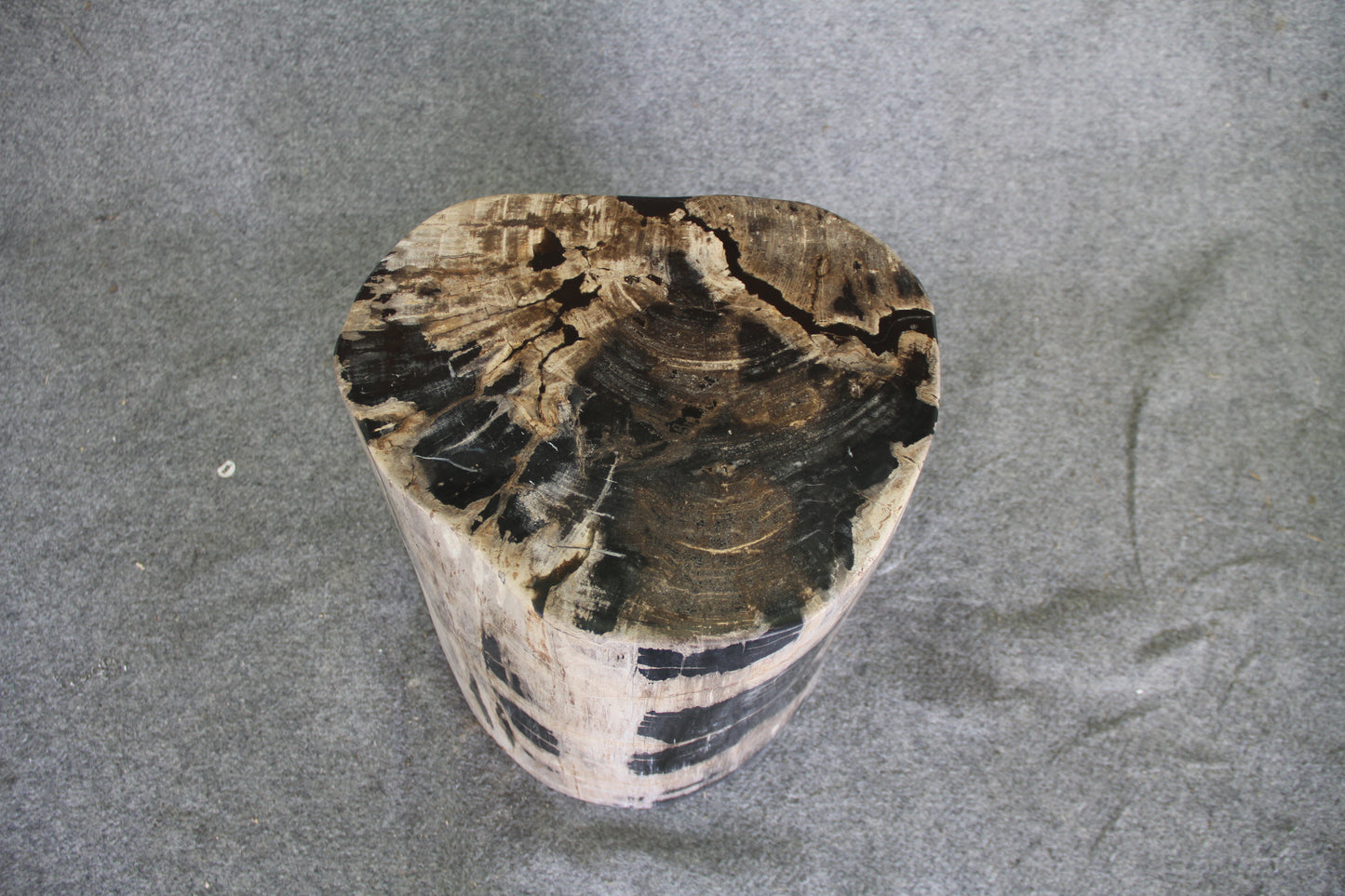 Petrified Wood Log Stool 15in x 13in x 16in (h) - 1631.22 | Petrified Wood Stools | Modishstore-2