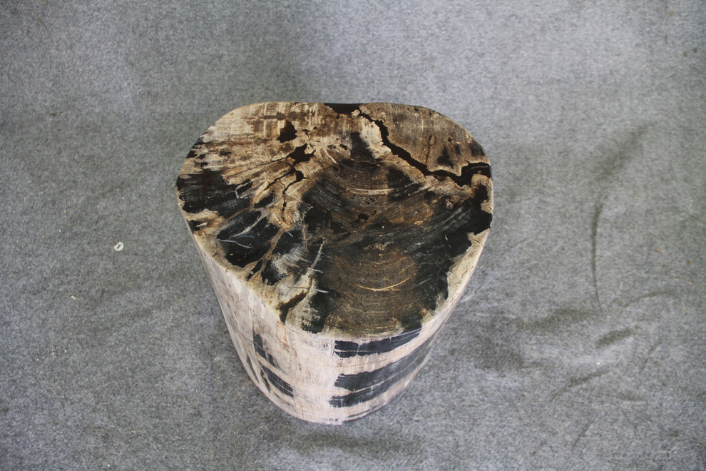 Petrified Wood Log Stool 15in x 13in x 16in (h) - 1631.22 | Petrified Wood Stools | Modishstore-2
