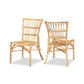 Baxton Studio Ammi Modern Bohemian Natural Brown Rattan 2-Piece Dining Chair Set | Dining Chairs | Modishstore