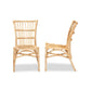 Baxton Studio Ammi Modern Bohemian Natural Brown Rattan 2-Piece Dining Chair Set | Dining Chairs | Modishstore - 3