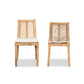Baxton Studio Suci Modern Bohemian Natural Brown Rattan 2-Piece Dining Chair Set | Dining Chairs | Modishstore - 2