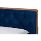 Baxton Studio Larue Modern and Contemporary Navy Blue Velvet Fabric Upholstered and Walnut Brown Finished Wood Queen Size Platform Bed | Beds | Modishstore - 4