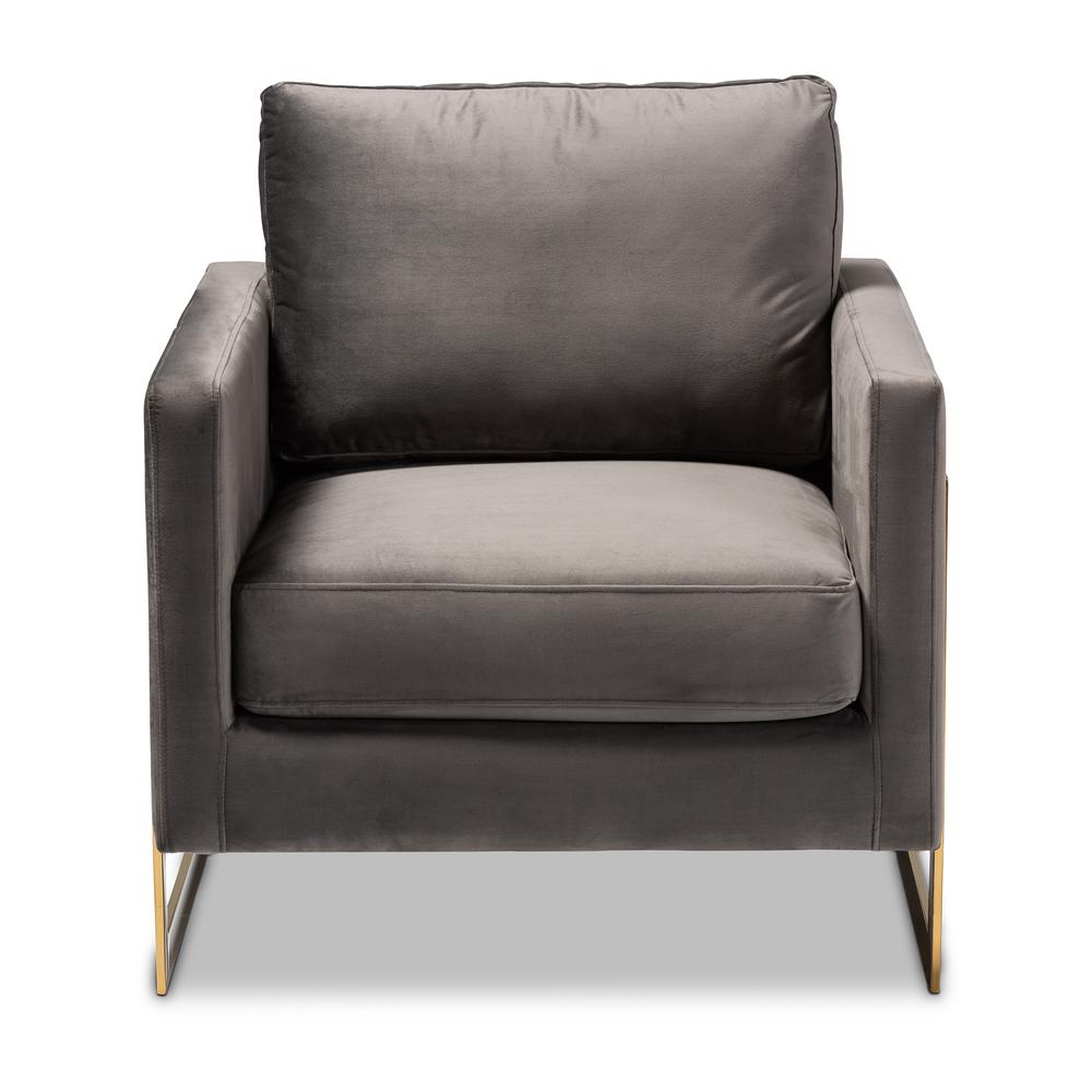 Baxton Studio Matteo Glam and Luxe Grey Velvet Fabric Upholstered Gold Finished Armchair | Armchairs | Modishstore - 2