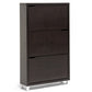 Baxton Studio Simms Dark Brown Modern Shoe Cabinet | Cabinets | Modishstore