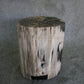 Petrified Wood Log Stool 11" x 11" 16" 1682.21 | Petrified Wood Stools | Modishstore-2