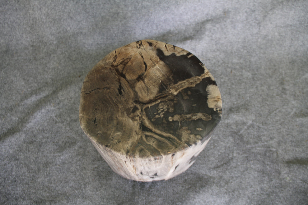Petrified Wood Log Stool 11" x 11" 16" 1682.21 | Petrified Wood Stools | Modishstore-5