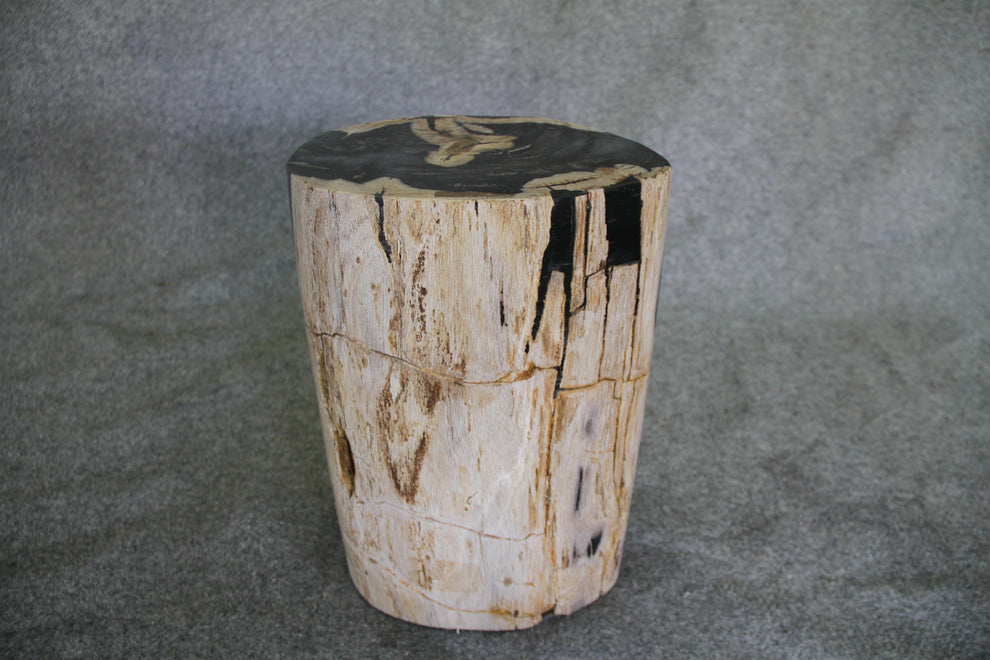 Petrified Wood Log Stool 11in x 8in x 16in (h) - 1687.21 | Petrified Wood Stools | Modishstore-5