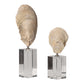 Uttermost Oyster Shell Sculptures, S/2 | Modishstore | Sculptures-6