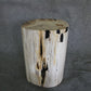 Petrified Wood Log Stool 15 x 10 x 17 - 1770.21 | Petrified Wood Stools | Modishstore-4