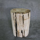 Petrified Wood Log Stool 15 x 10 x 17 - 1770.21 | Petrified Wood Stools | Modishstore