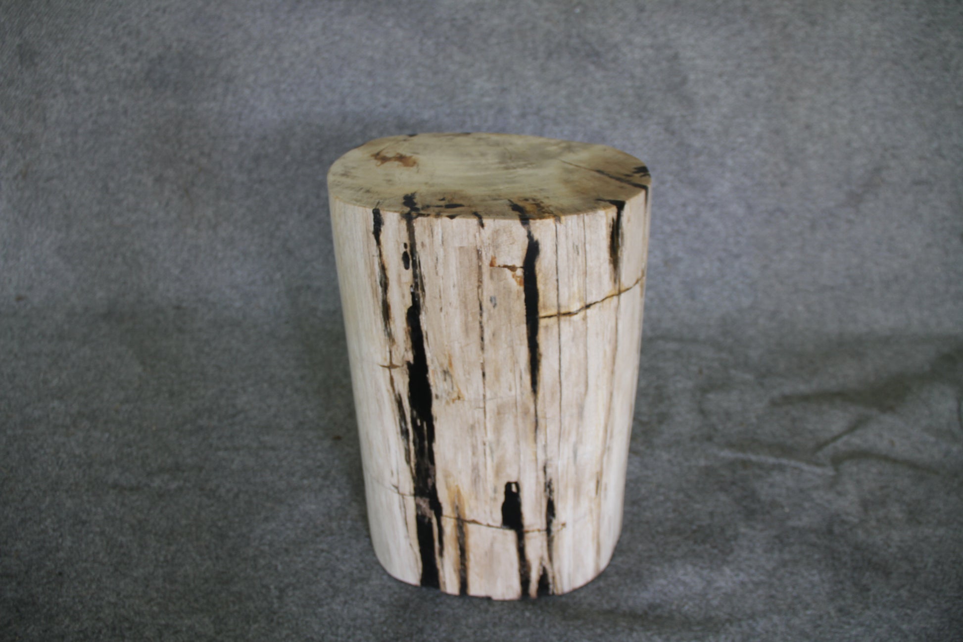 Petrified Wood Log Stool 15 x 10 x 17 - 1770.21 | Petrified Wood Stools | Modishstore