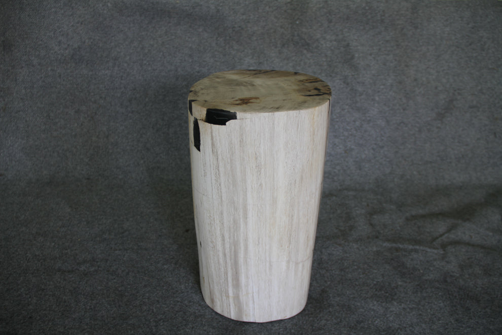 Petrified Wood Log Stool 15 x 10 x 17 - 1770.21 | Petrified Wood Stools | Modishstore-3