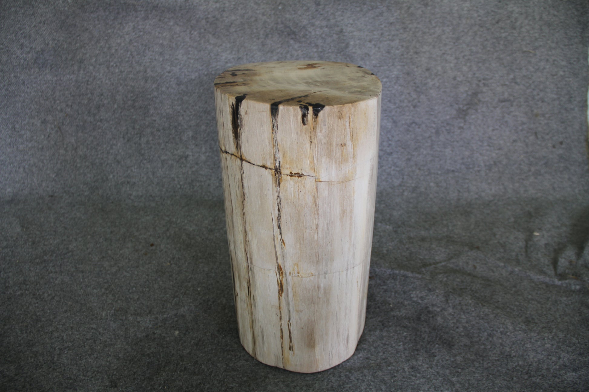 Petrified Wood Log Stool 15 x 10 x 17 - 1770.21 | Petrified Wood Stools | Modishstore-2