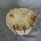 Petrified Wood Log Stool 15 x 10 x 17 - 1770.21 | Petrified Wood Stools | Modishstore-5