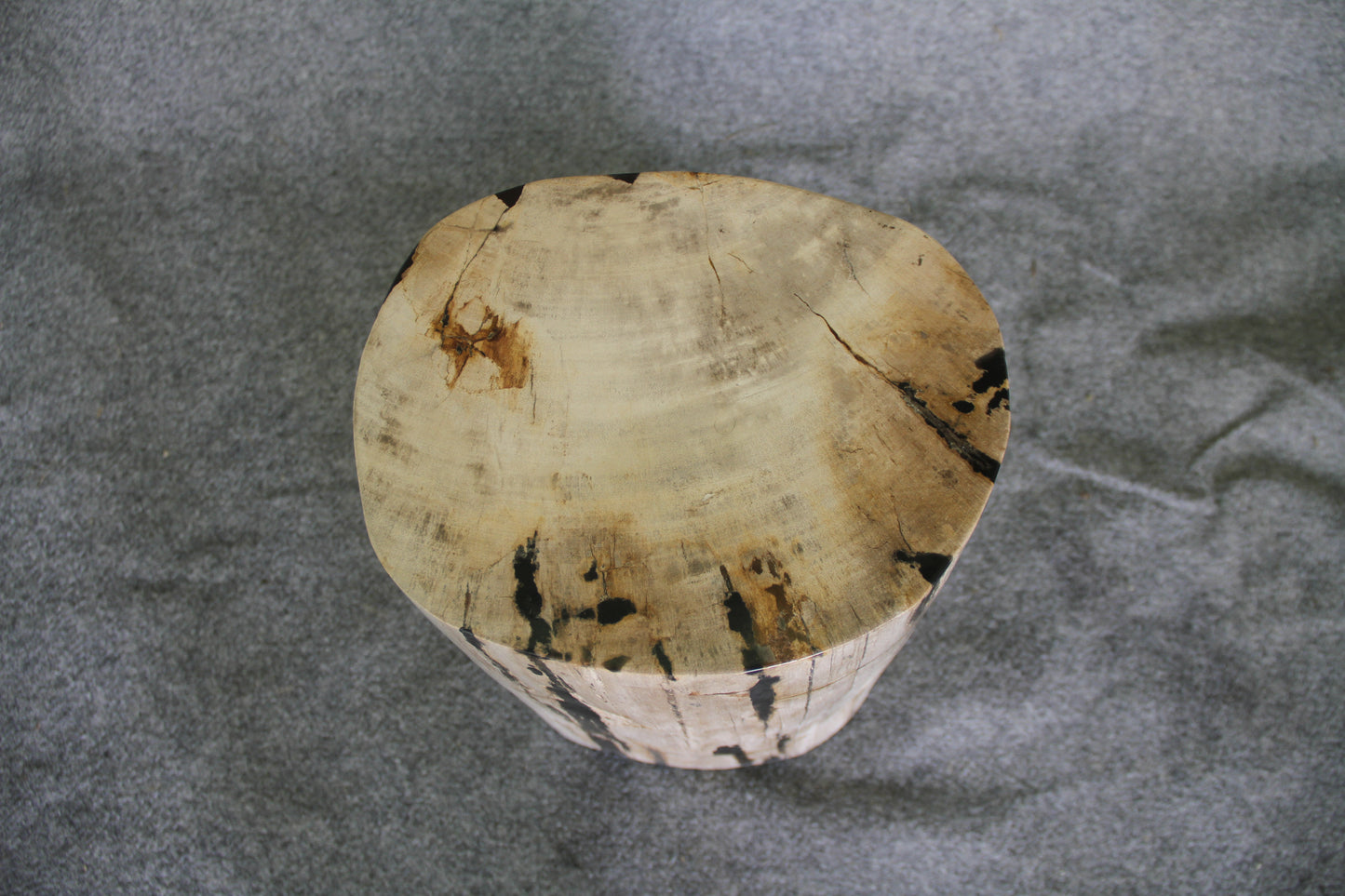 Petrified Wood Log Stool 15 x 10 x 17 - 1770.21 | Petrified Wood Stools | Modishstore-5