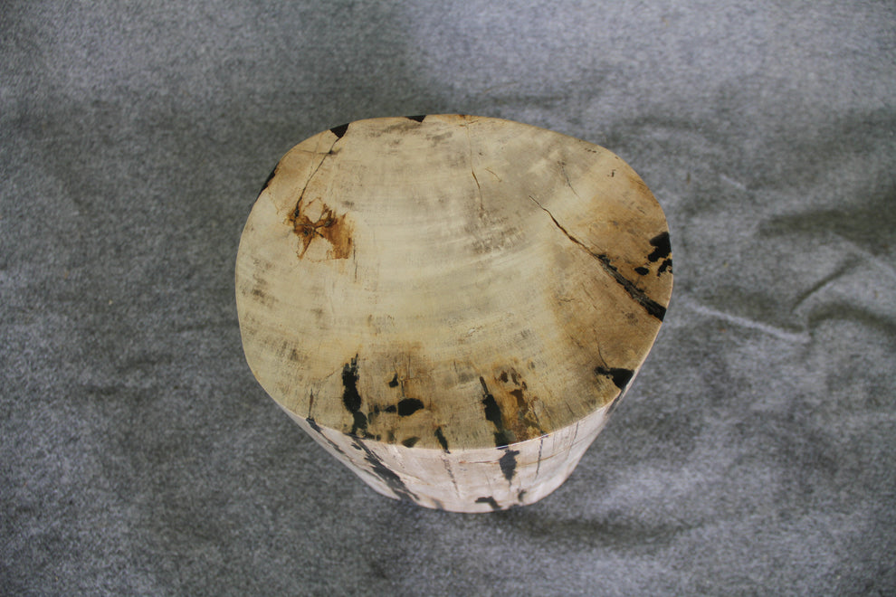 Petrified Wood Log Stool 15 x 10 x 17 - 1770.21 | Petrified Wood Stools | Modishstore-5