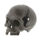HomArt Skull - No Jaw - Natural-2