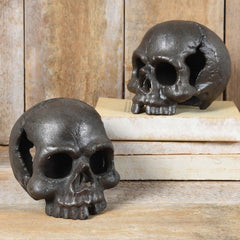 HomArt Skull - No Jaw - Natural - Set of 2