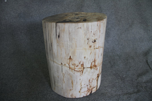 Petrified Wood Log Stool 18in (h) x 14in x 12in - 1803.22 | Petrified Wood Stools | Modishstore
