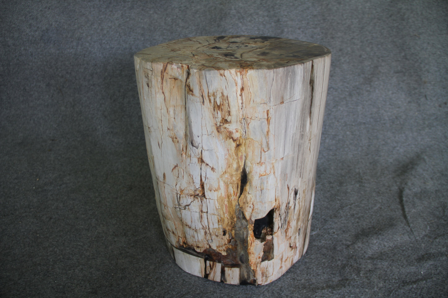 Petrified Wood Log Stool 18in (h) x 14in x 12in - 1803.22 | Petrified Wood Stools | Modishstore-2