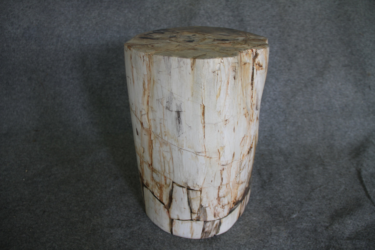 Petrified Wood Log Stool 18in (h) x 14in x 12in - 1803.22 | Petrified Wood Stools | Modishstore-3