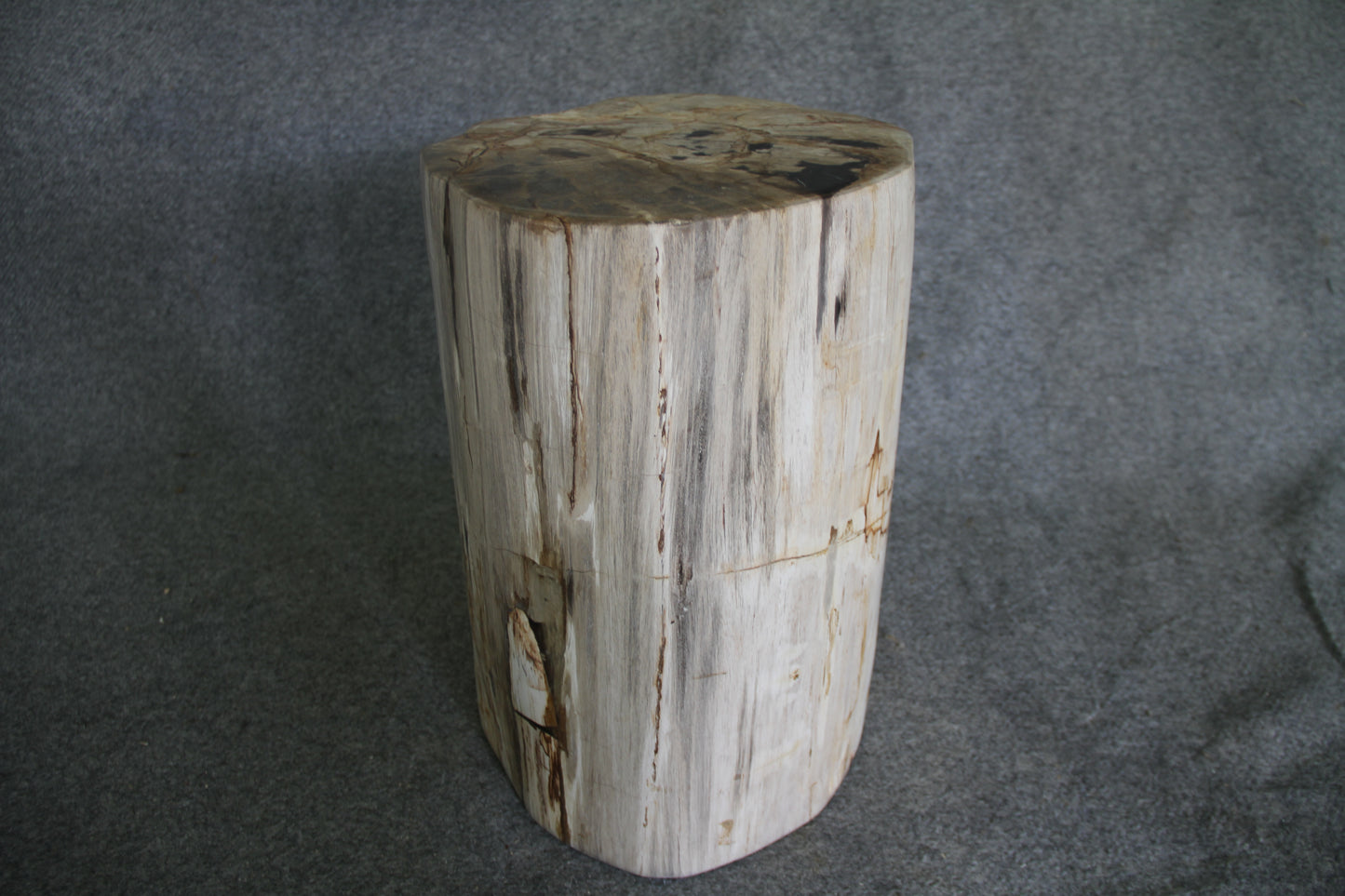 Petrified Wood Log Stool 18in (h) x 14in x 12in - 1803.22 | Petrified Wood Stools | Modishstore-4
