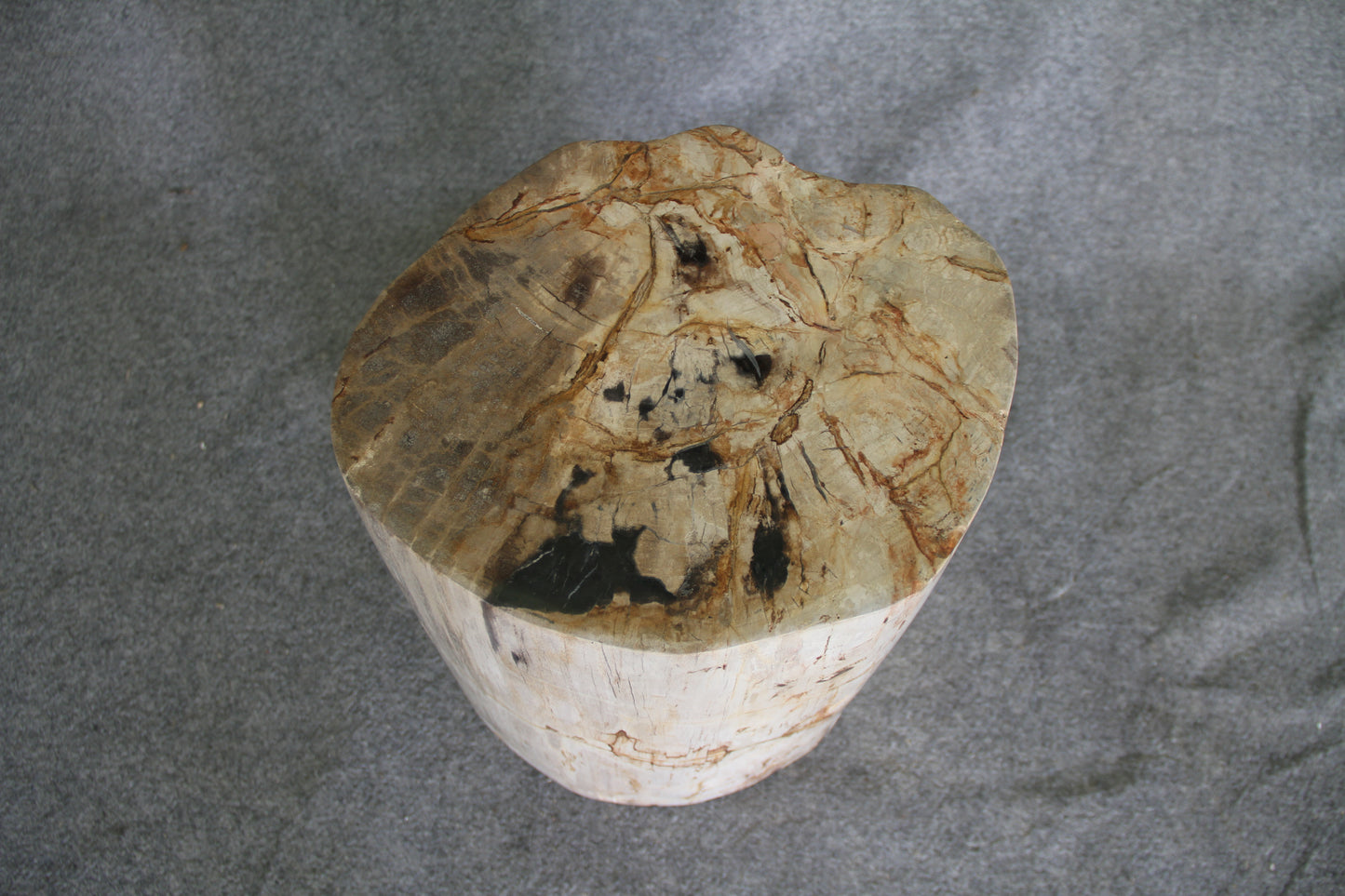 Petrified Wood Log Stool 18in (h) x 14in x 12in - 1803.22 | Petrified Wood Stools | Modishstore-5