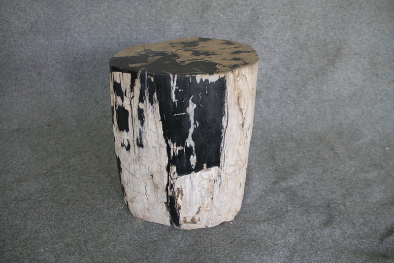 Petrified Wood Log Stool 16in (h) x 14in x 13in - 190.22 | Petrified Wood Stools | Modishstore