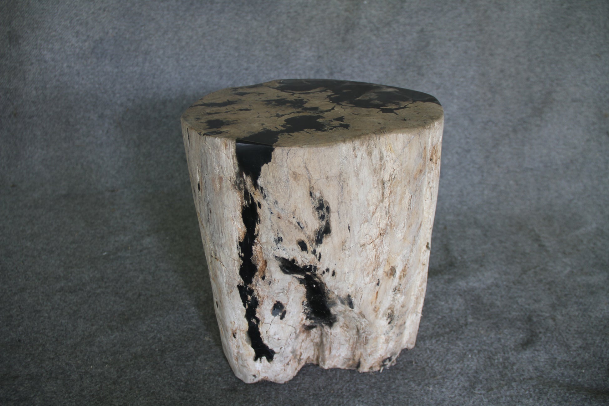 Petrified Wood Log Stool 16in (h) x 14in x 13in - 190.22 | Petrified Wood Stools | Modishstore-5