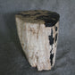 Petrified Wood Log Stool 16in (h) x 14in x 13in - 190.22 | Petrified Wood Stools | Modishstore-4