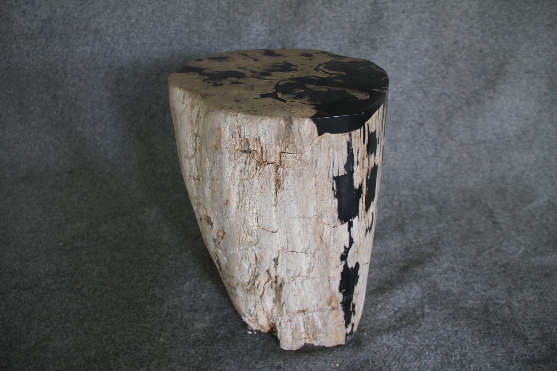 Petrified Wood Log Stool 16in (h) x 14in x 13in - 190.22 | Petrified Wood Stools | Modishstore-4