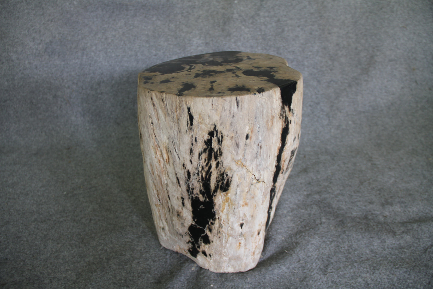 Petrified Wood Log Stool 16in (h) x 14in x 13in - 190.22 | Petrified Wood Stools | Modishstore-3