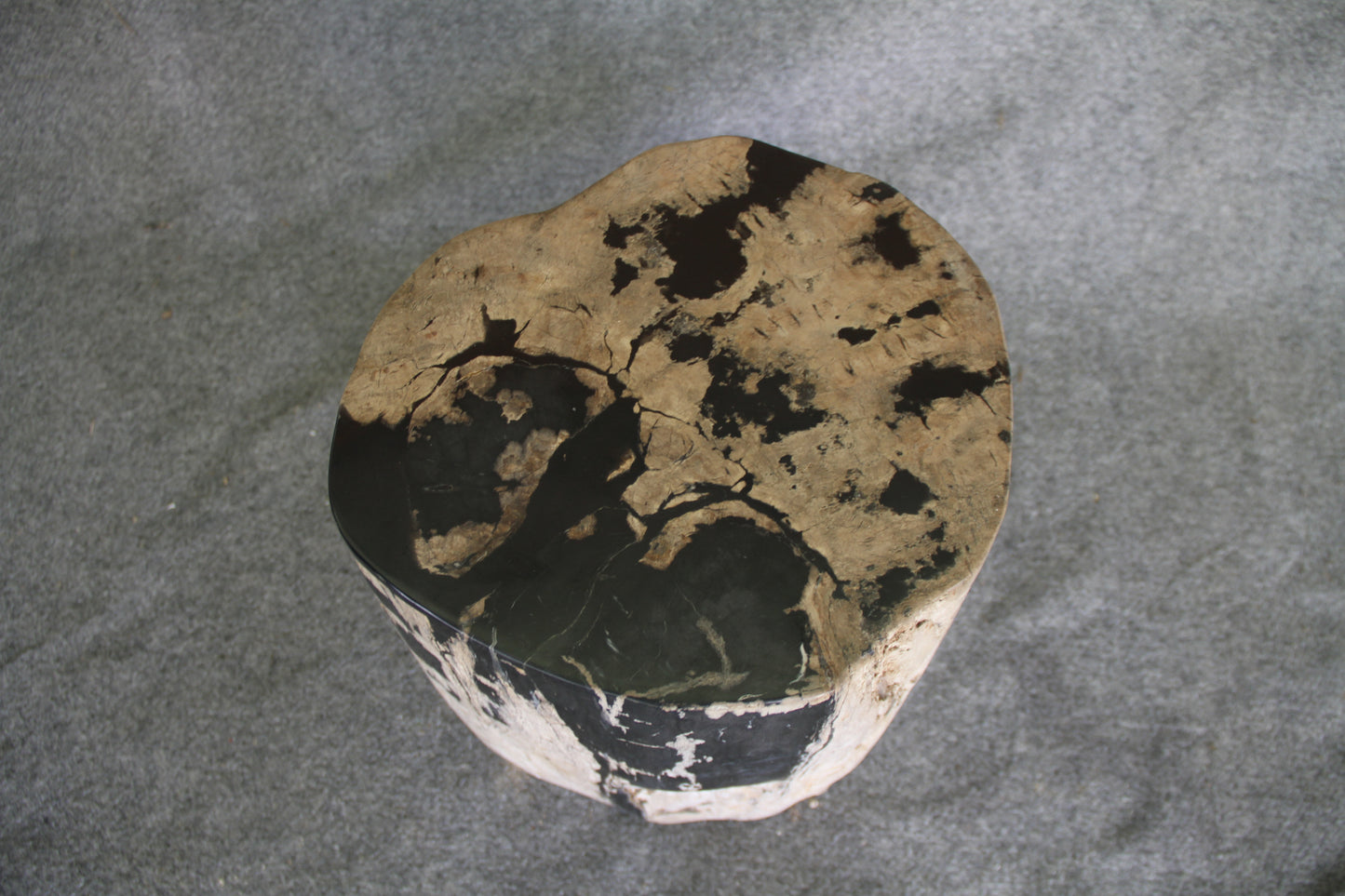 Petrified Wood Log Stool 16in (h) x 14in x 13in - 190.22 | Petrified Wood Stools | Modishstore-2