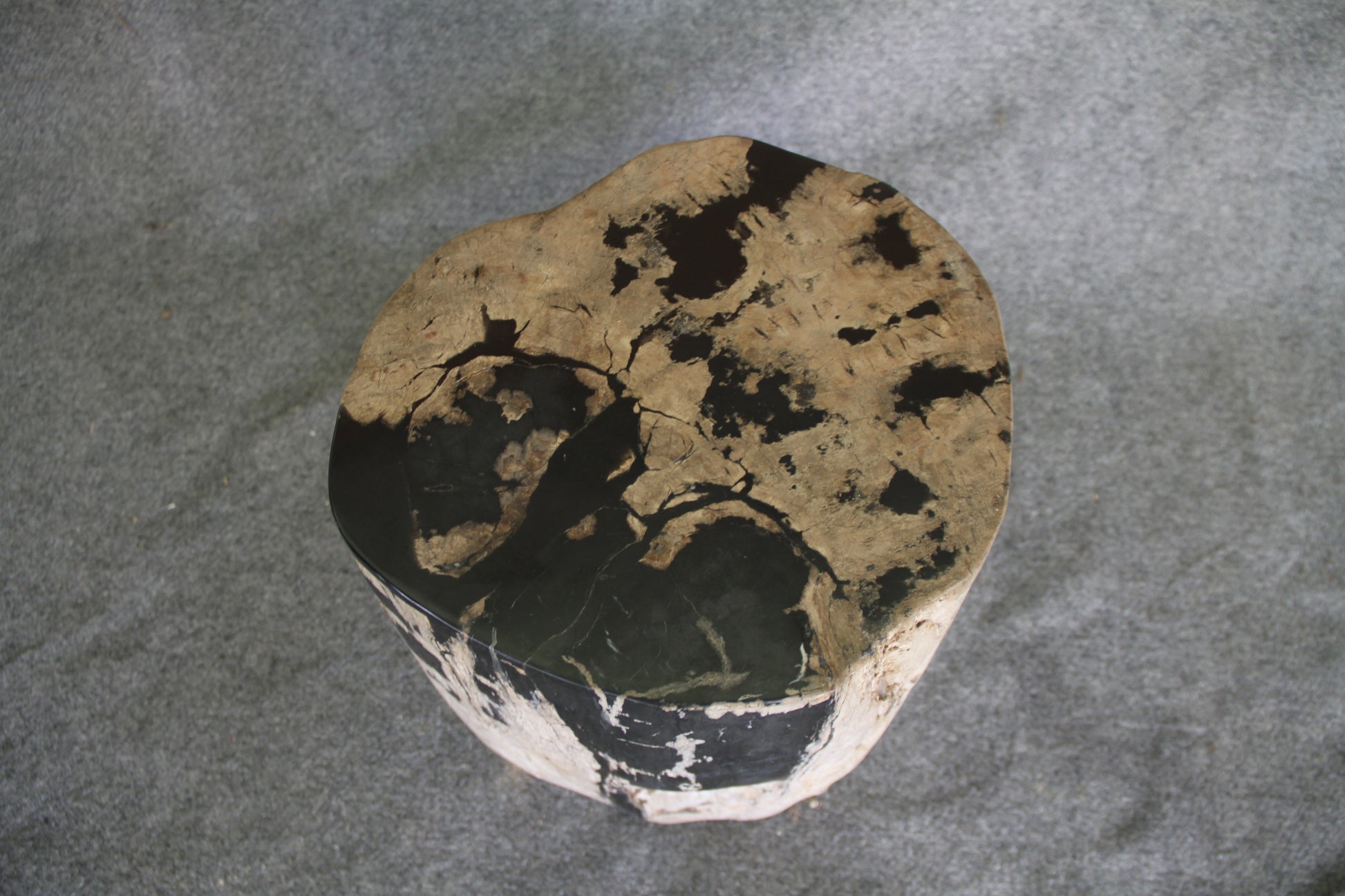Petrified Wood Log Stool 16in (h) x 14in x 13in - 190.22 | Petrified Wood Stools | Modishstore-2