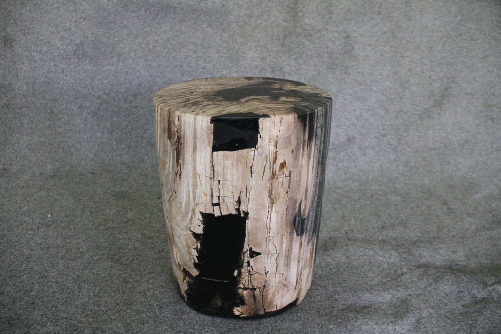 Petrified Wood Log Stool 11in x 13in x 16in (h) - 1985.21 | Petrified Wood Stools | Modishstore-5
