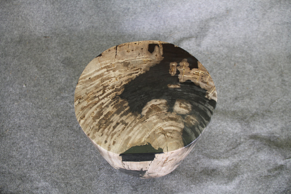 Petrified Wood Log Stool 11in x 13in x 16in (h) - 1985.21 | Petrified Wood Stools | Modishstore-2
