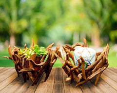 Driftwood Bowls