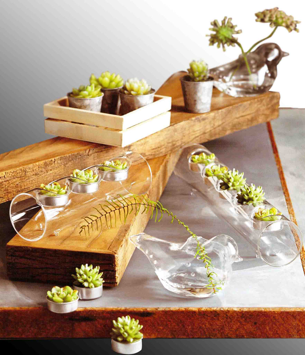 Roost Succulent Tealights-2