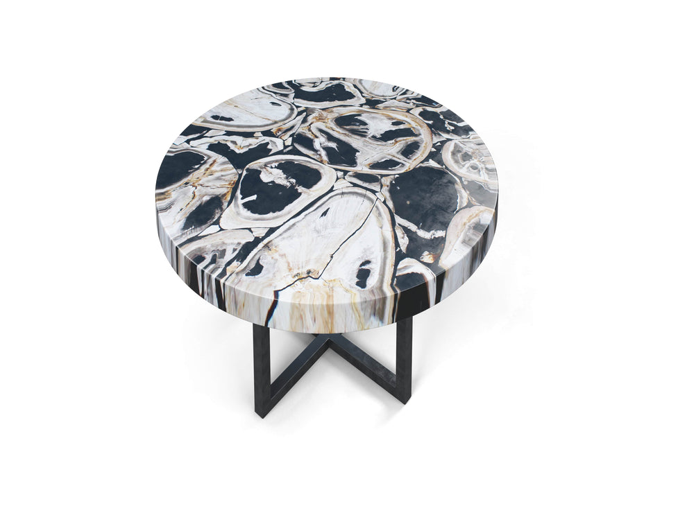 Petrified wood coffee table-3