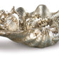 Clam Shell Medium W/Small Shells Silver By Regina Andrew | Sculptures | Modishstore - 3