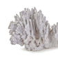 Coral Art Piece Large White By Regina Andrew | Sculptures | Modishstore - 4